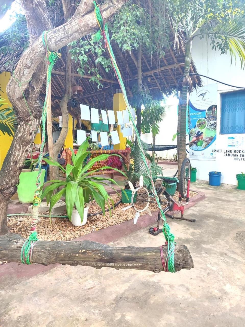 Homeland Swahili Lodge Nungwi Backpacker Apartments Budget Extérieur photo