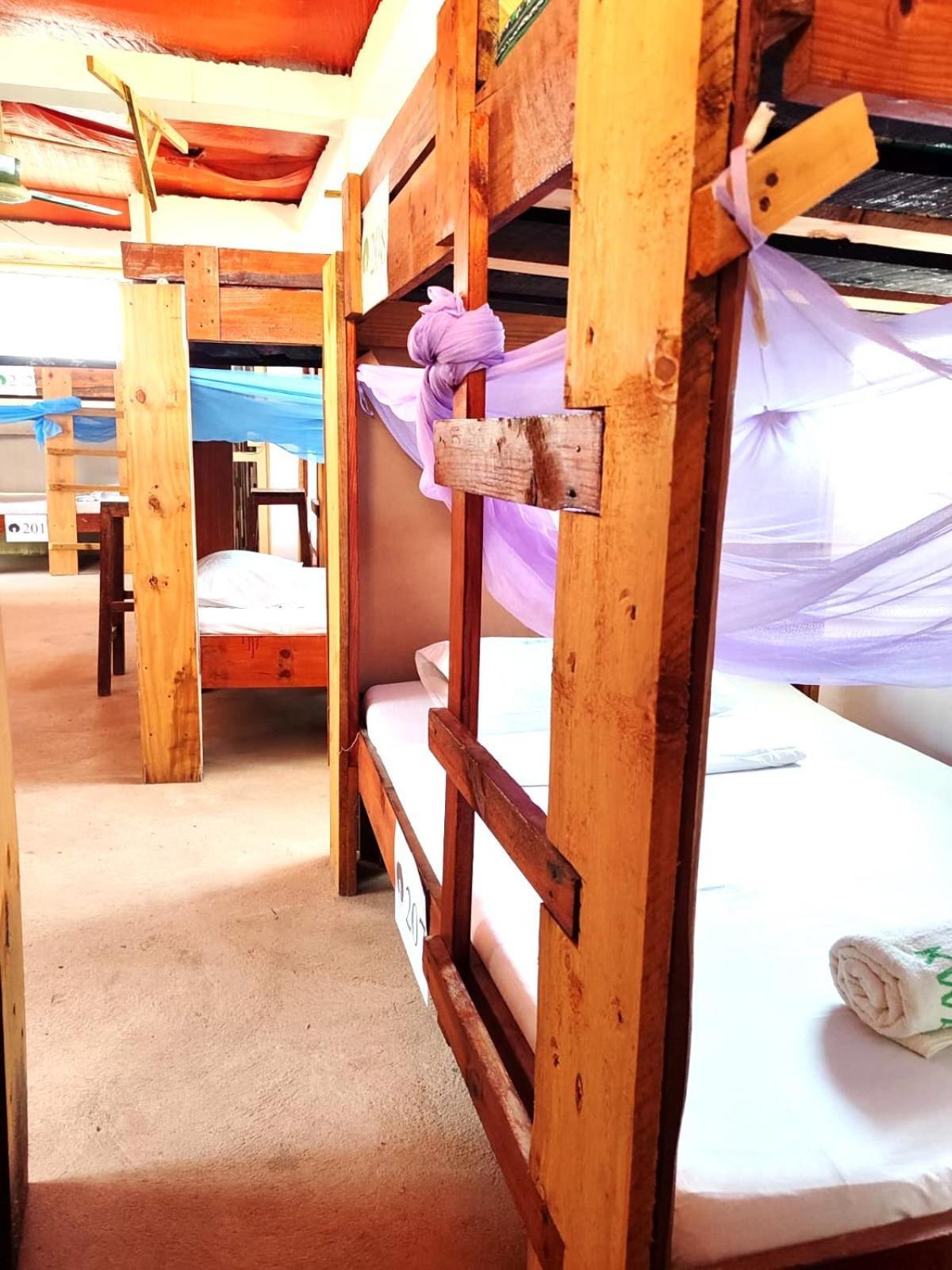 Homeland Swahili Lodge Nungwi Backpacker Apartments Budget Extérieur photo